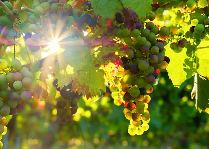 Le Havre De Garens, De Charme 3 Etoiles En Gascogne *
